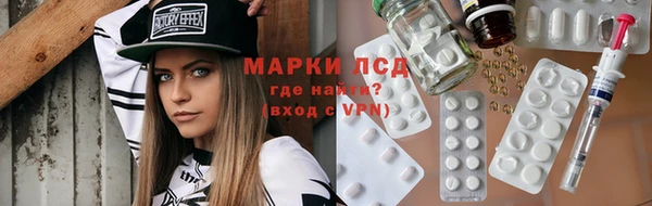 крисы Аркадак