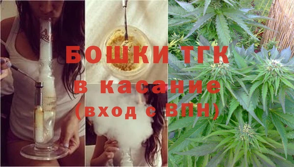 крисы Аркадак