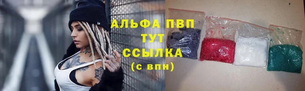 крисы Аркадак