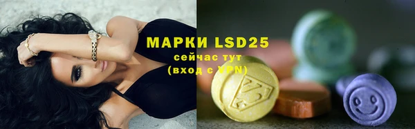 гидра Арсеньев