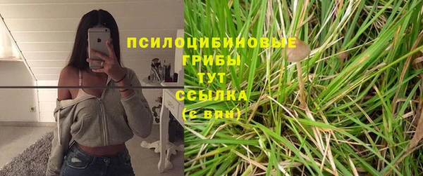 крисы Аркадак
