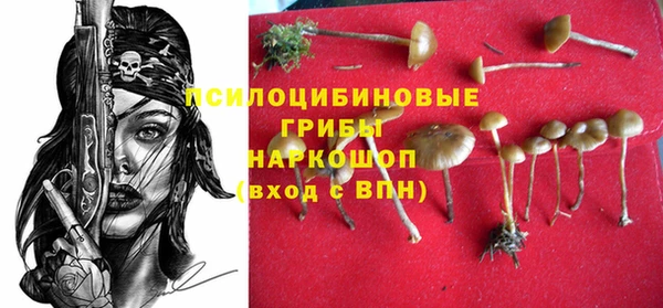 гидра Арсеньев
