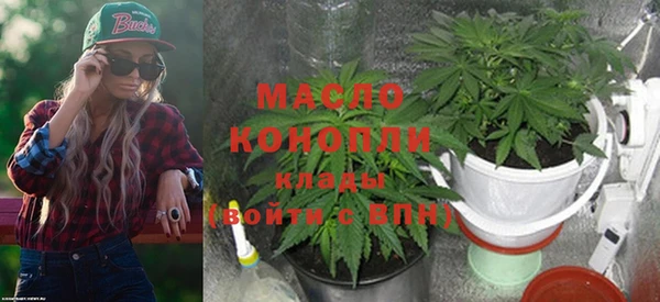 крисы Аркадак