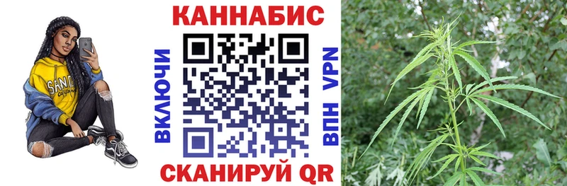 Бошки Шишки план  наркотики  Солигалич 